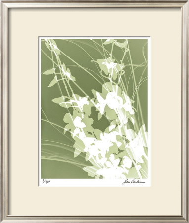 Flower Shadow Iii by Lois Bender Pricing Limited Edition Print image