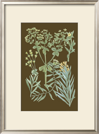 Organic Greenery Iv by Johann Wilhelm Weinmann Pricing Limited Edition Print image