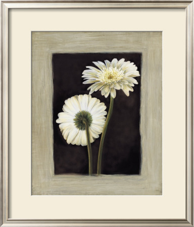 Flora Ii by Andrea Trivelli Pricing Limited Edition Print image