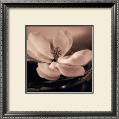 Magnolia Blush by Julie Greenwood Pricing Limited Edition Print image