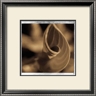 Spiralis I by Jean-François Dupuis Pricing Limited Edition Print image
