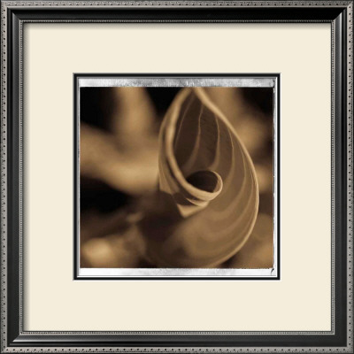 Spiralis I by Jean-Francois Dupuis Pricing Limited Edition Print image