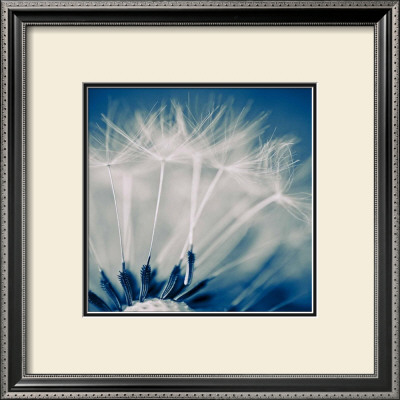 Zelodus by Jean-Francois Dupuis Pricing Limited Edition Print image