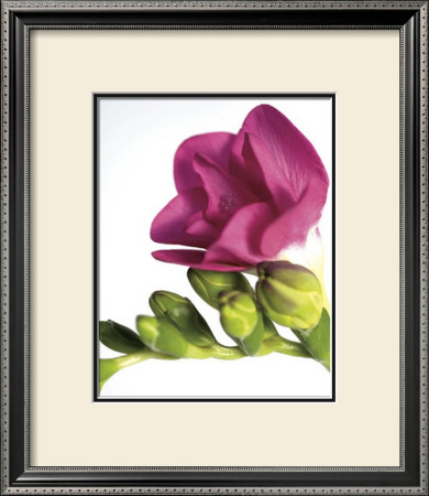 Floral Saturation Ii by Boyce Watt Pricing Limited Edition Print image