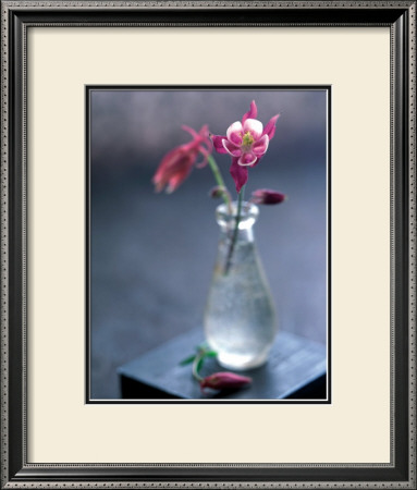Columbine In A Glass by Alexandra Grablewski Pricing Limited Edition Print image