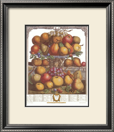 Twelve Months Of Fruits, 1732, December by Robert Furber Pricing Limited Edition Print image