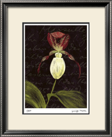 Orchid by Jm Designs Pricing Limited Edition Print image