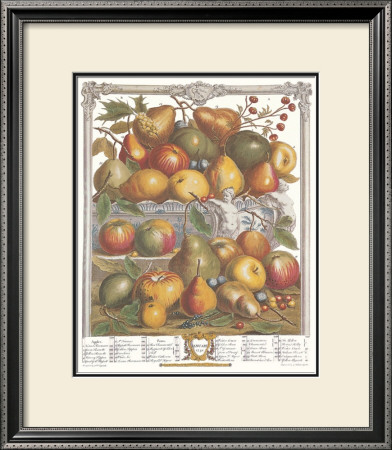 Twelve Months Of Fruits, 1732, January by Robert Furber Pricing Limited Edition Print image