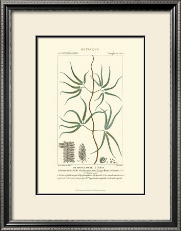 Turpin Botany Ii by Turpin Pricing Limited Edition Print image