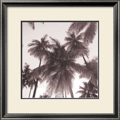 Island Palms by Michael Kahn Pricing Limited Edition Print image