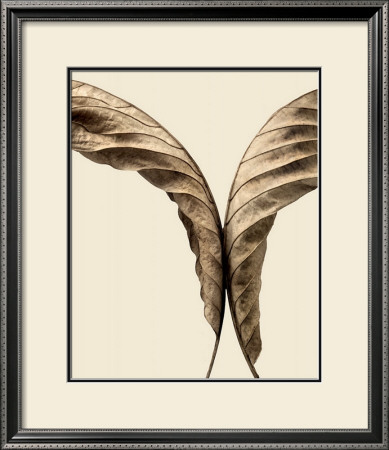 Turning Leaves Ii by Jeff Friesen Pricing Limited Edition Print image