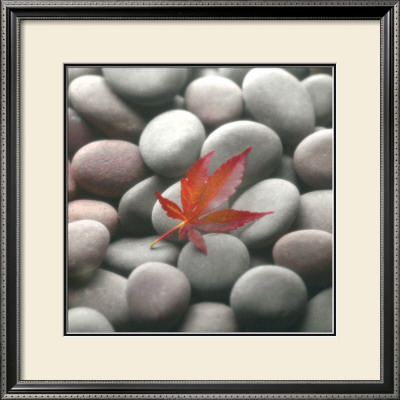 Leaf On Stone by Glen & Gayle Wans Pricing Limited Edition Print image