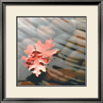 Leaves In Stream by Glen & Gayle Wans Pricing Limited Edition Print image
