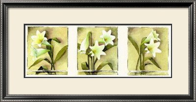 White Lilies by Franz Heigl Pricing Limited Edition Print image