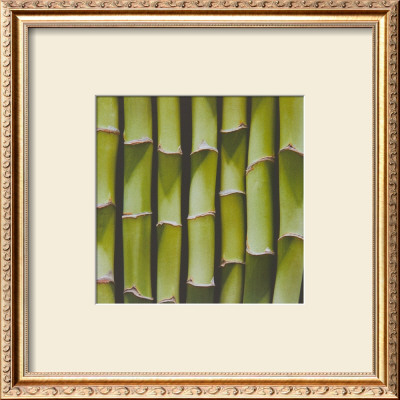 Bamboo Lengths by Boyce Watt Pricing Limited Edition Print image