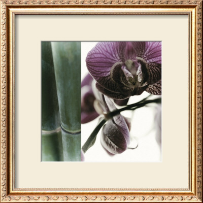 Bamboo I by Jennifer Broussard Pricing Limited Edition Print image