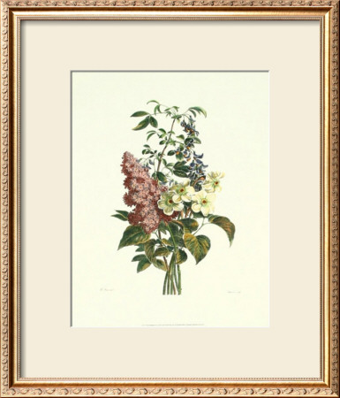Floral Rhapsody Iv by Pancrace Bessa Pricing Limited Edition Print image