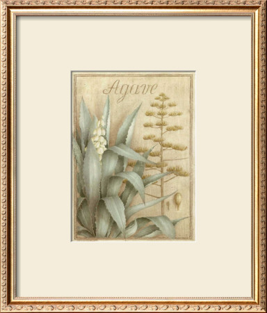 Agave by Vincent Perriol Pricing Limited Edition Print image