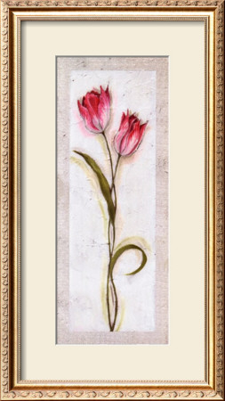 Double Red And White Tulip by Jennifer Hammond Pricing Limited Edition Print image