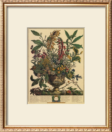 January by Robert Furber Pricing Limited Edition Print image