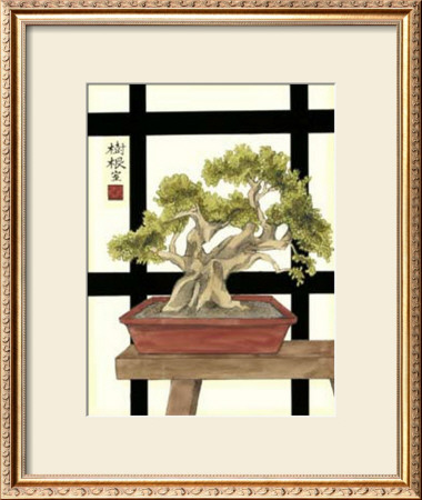 Zen Bonsai Iv by Jennifer Goldberger Pricing Limited Edition Print image