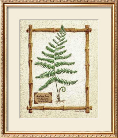 Vegetable Fern by Susan Clickner Pricing Limited Edition Print image