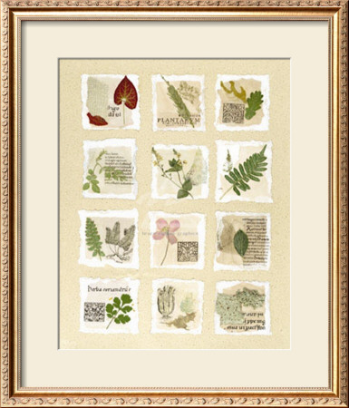 Surrey Garden Fragments by Hewitt Pricing Limited Edition Print image
