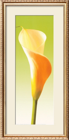 Green Callas Trilogy I by Inka Vogel Pricing Limited Edition Print image
