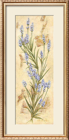 Lavanda by Amelie Parker Pricing Limited Edition Print image