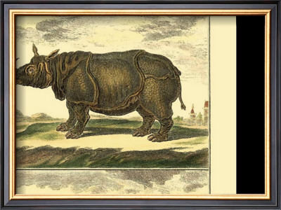 Elephant And Rhino by Denis Diderot Pricing Limited Edition Print image