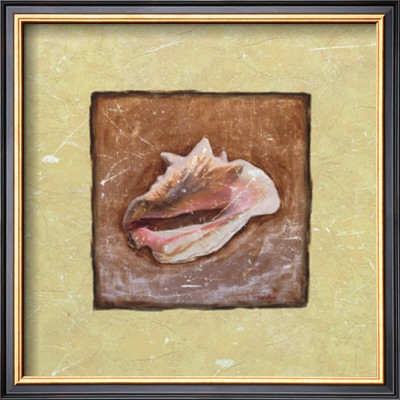 Conch Shell by T. C. Chiu Pricing Limited Edition Print image