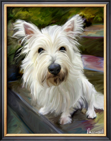 Little Westie by Robert Mcclintock Pricing Limited Edition Print image