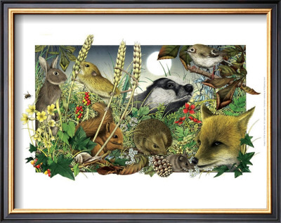 Animals by Alan Baker Pricing Limited Edition Print image