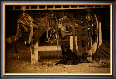 Saddles Bits And Pup by Jim Tunell Pricing Limited Edition Print image