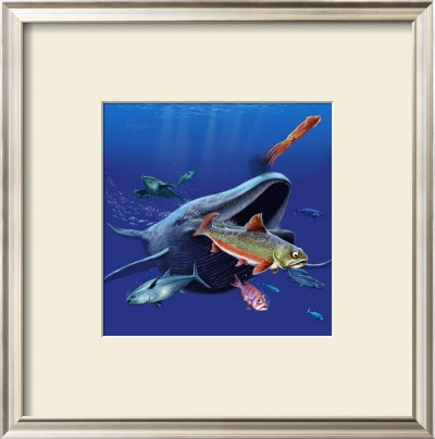 Alexander And The Whale by Wes Lowe Pricing Limited Edition Print image