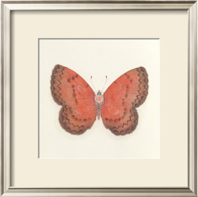 Butterfly I by Sophie Golaz Pricing Limited Edition Print image
