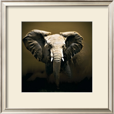 On Safari by Bobbie Goodrich Pricing Limited Edition Print image