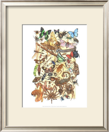 Zoo Bugs by Wendy Edelson Pricing Limited Edition Print image