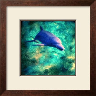 Dolphin Ii by Jean-François Dupuis Pricing Limited Edition Print image