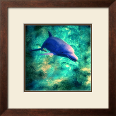 Dolphin Ii by Jean-Francois Dupuis Pricing Limited Edition Print image