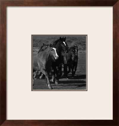 Leader Of The Pack by Wendy Caro Pricing Limited Edition Print image