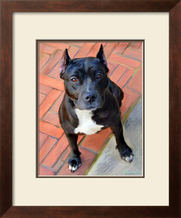 Blueberry Pit Bull by Robert Mcclintock Pricing Limited Edition Print image