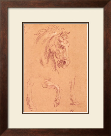 Horse Head by Pier Leone Ghezzi Pricing Limited Edition Print image