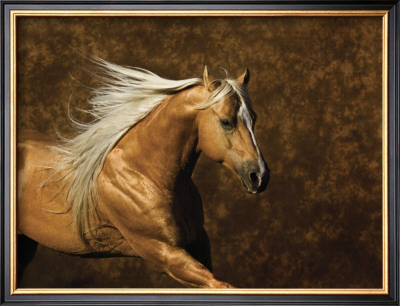 Golden Boy Ii by Robert Dawson Pricing Limited Edition Print image