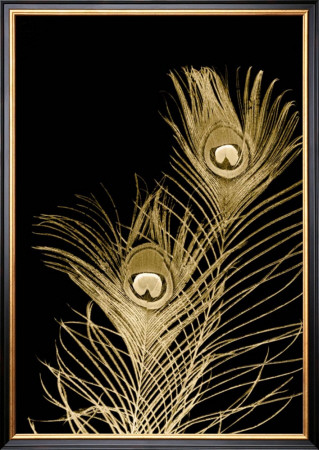 Plumes D'or Ii by Jason Johnson Pricing Limited Edition Print image