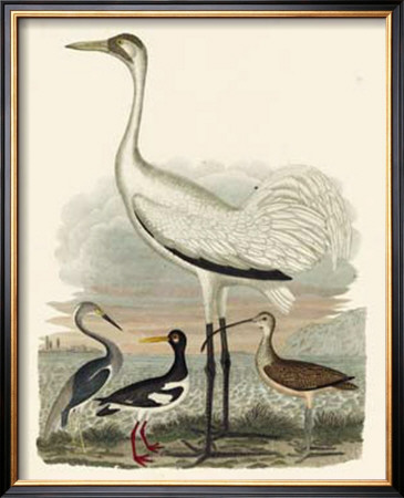 Heron Family Iii by A. Wilson Pricing Limited Edition Print image