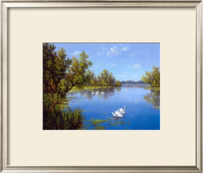 River With Swans Ii by Slava Pricing Limited Edition Print image
