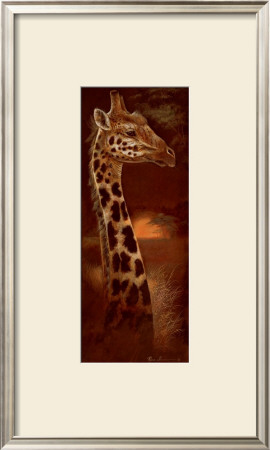 Young And Curious by Ruane Manning Pricing Limited Edition Print image