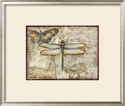 Poetic Dragonfly Ii by Chariklia Zarris Pricing Limited Edition Print image