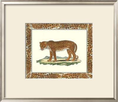 Leopard With Leopard Border by Georges-Louis Buffon Pricing Limited Edition Print image